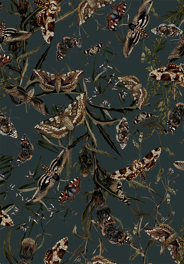 Whispen Moth Print Midi Shirt Dress